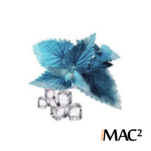AROME MENTHE FRAICHE REF MPS05