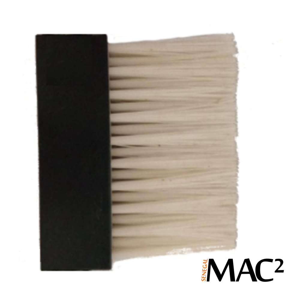 BACK BRUSHES