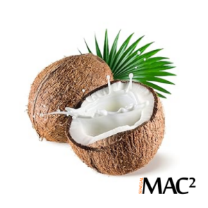 AROME NOIX DE COCO, REF MPB16, prix au kilo